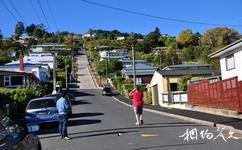 新西兰但尼丁市旅游攻略之鲍德温街