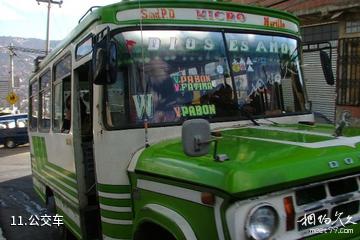 玻利维亚拉巴斯市-公交车照片