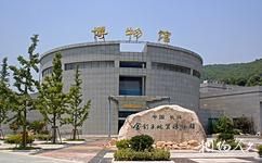 長興金釘子遠古世界地質遺迹旅遊攻略之金釘子地質博物館