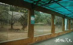 重慶動物園旅遊攻略之羚羊館