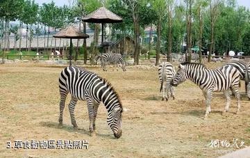 焦作森林動物園-草食動物區照片