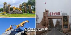 哈尔滨东北虎林园驴友相册