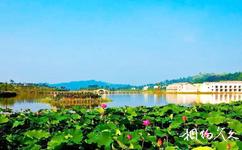 重慶銅梁愛蓮湖濕地公園旅遊攻略之生態濕地荷花湖