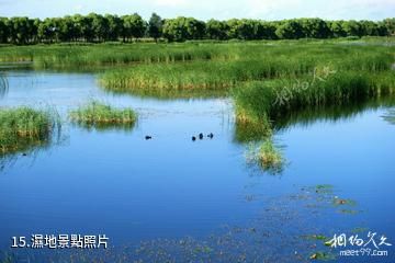 佳木斯富錦國家濕地公園-濕地照片