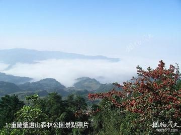 重慶聖燈山森林公園照片