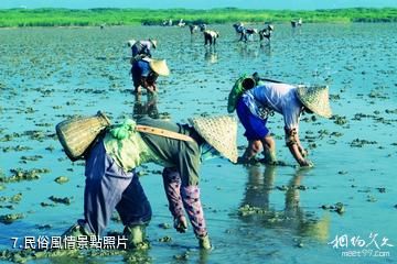 福建漳江口紅樹林國家級自然保護區-民俗風情照片