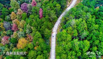 長沙天華山旅遊景區-森林照片