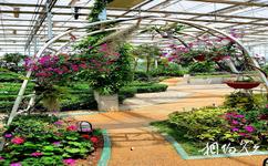 西安灃東現代都市農業博覽園旅遊攻略之溫室花園