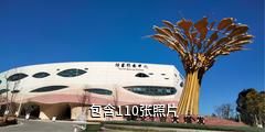 云南澄江化石地自然博物馆驴友相册