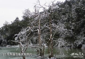 景寧草魚塘森林公園-草魚塘雪后照片
