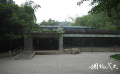 北京動物園旅遊攻略之猩猩館