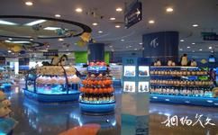 上海海洋水族館旅遊攻略之海洋記憶禮品店