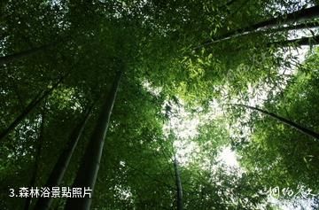 武漢素山寺森林公園-森林浴照片