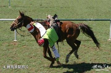 大慶吉禾民族賽馬場-賽馬照片