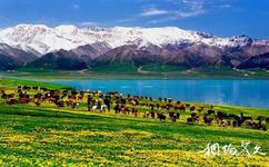 新疆賽里木湖旅遊攻略之賽里木湖國家濕地公園