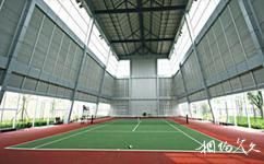 重庆贝迪颐园温泉旅游攻略之网球中心