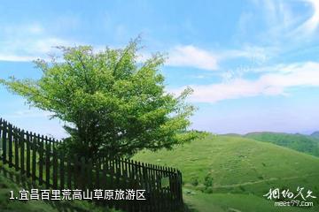 宜昌百里荒高山草原旅游区照片