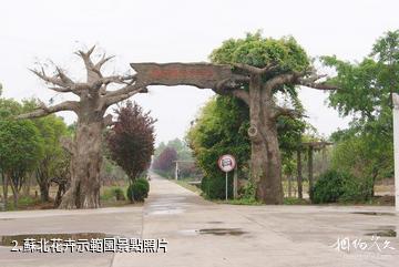 沭陽蘇北花卉示範園-蘇北花卉示範園照片