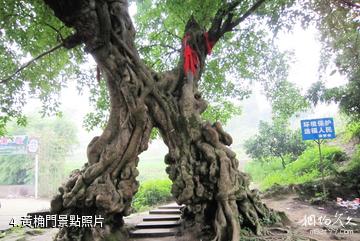 重慶巴岳山―西溫泉風景區-黃桷門照片