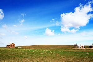 內蒙古烏蘭察布四子王旗旅遊攻略-烏蘭牧場景點排行榜