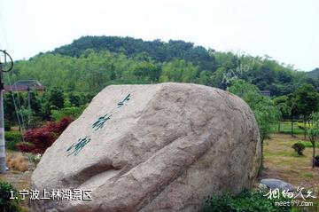 宁波上林湖景区照片