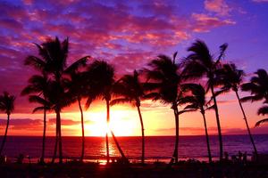 美洲美国夏威夷州希洛旅游攻略-希洛景点排行榜