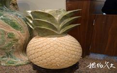 台龍寶石博物館旅遊攻略之菠蘿