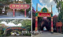 瑞麗獨樹成林風景區驢友相冊