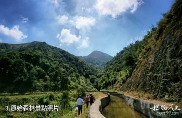 新興廣東天露山旅遊度假區-原始森林照片