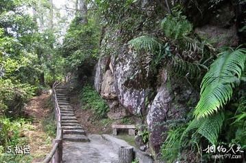 福州方广岩景区-松径照片