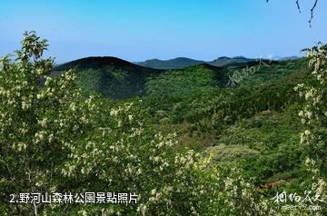 扶風野河山生態旅遊景區-野河山森林公園照片