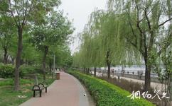 北京通州運河公園旅遊攻略之公園