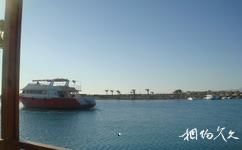 埃及红海旅游攻略之红海