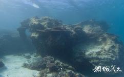 苍鹭岛海底风光旅游攻略之珊瑚礁