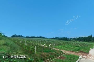 平昌驷马水乡旅游区-生态果林基地照片