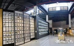 上海中医药博物馆旅游攻略之中药标本陈列馆