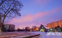 山東大學校園概況之校園冬日雪景