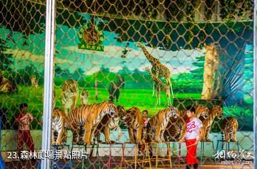 長沙生態動物園-森林劇場照片