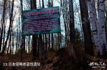 七台河西大圈森林公园-日本侵略者盗伐遗址照片