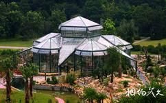 中科院華南植物園旅遊攻略之沙漠溫室
