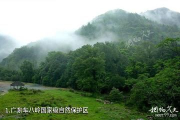 广东车八岭国家级自然保护区照片