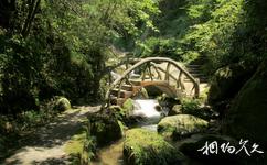 永州舜皇山國家森林公園旅遊攻略之小橋