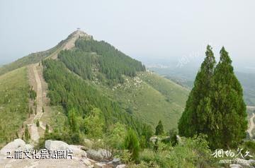 青州九龍峪景區-龍文化照片