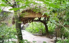 兴隆亚洲风情园旅游攻略之树屋