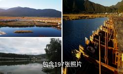 腾冲北海湿地驴友相册