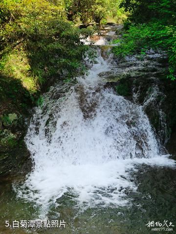 常山梅樹底風景區-白菊潭照片