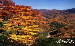 米倉山國家森林公園旅遊攻略之盤龍峪
