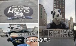 成都國際金融中心IFS熊貓驢友相冊
