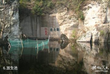 浙江吼山风景区-放生池照片