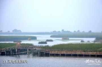 大慶鶴鳴湖濕地溫泉風景區-濕地照片